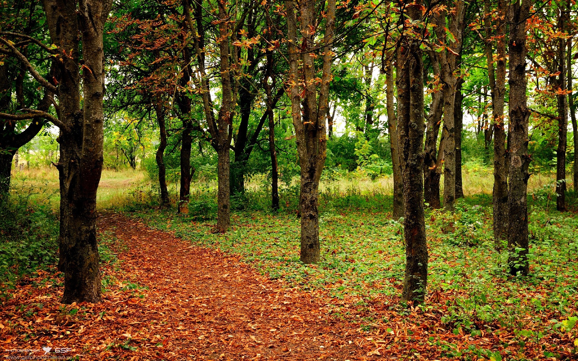 爱游戏娱乐平台-“专业青训教练引领，提升少年攻防技巧”，青训教练是什么意思