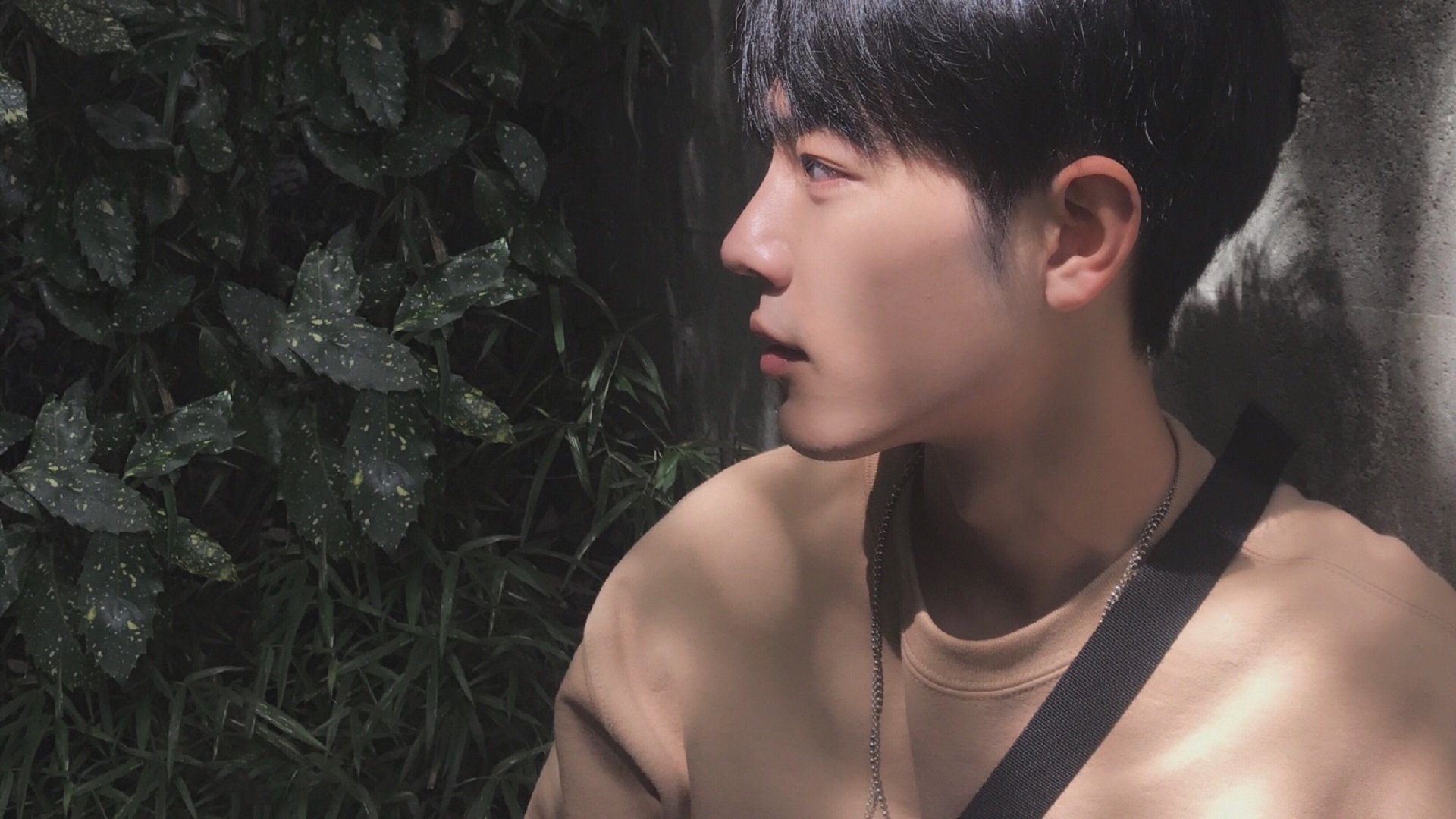 “趣味冷知识:你不知道的NBA隐藏故事”,nba的秘密