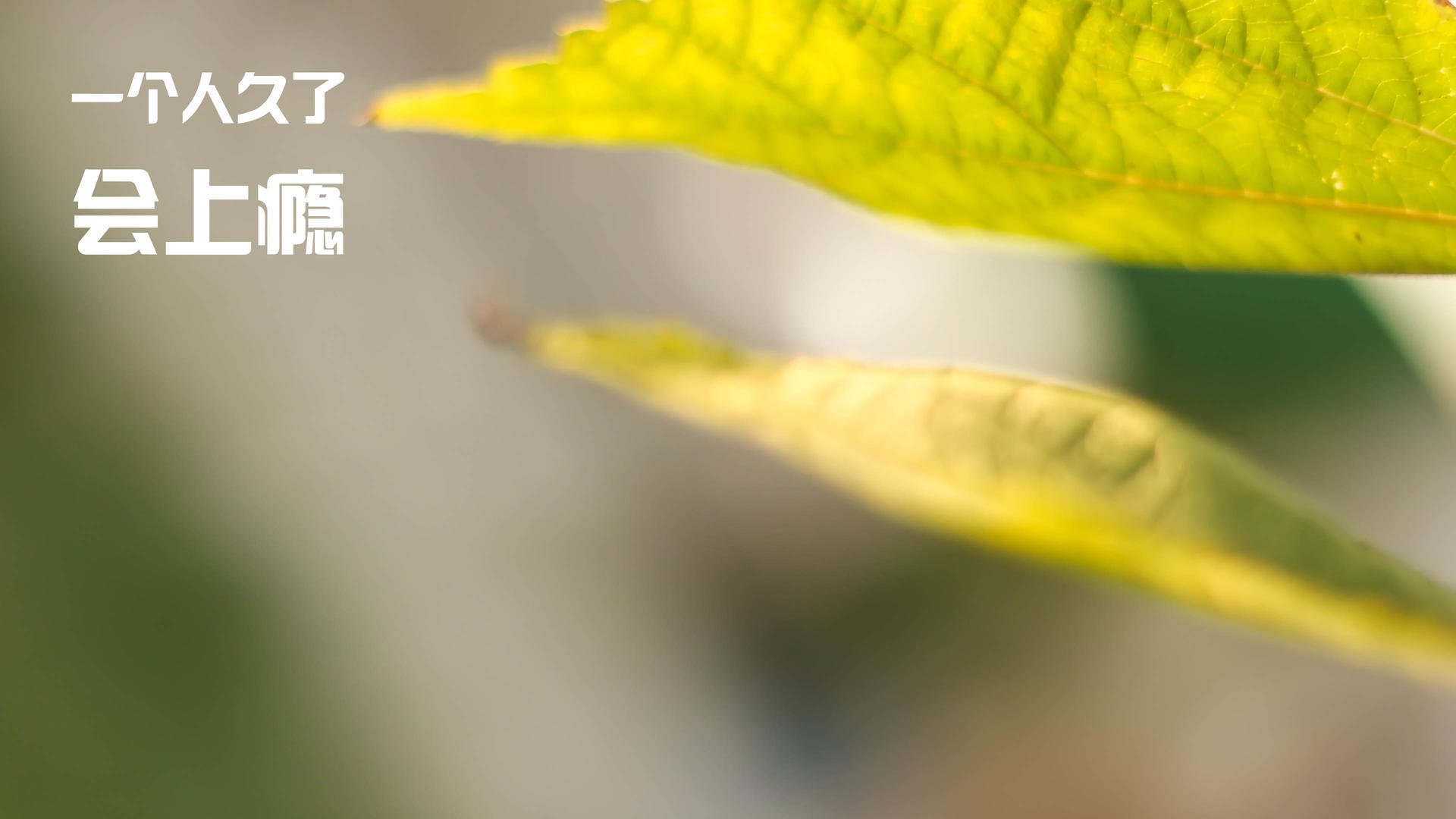 爱游戏娱乐-史上最感人励志：球员在低谷如何重新出发？，球星 励志