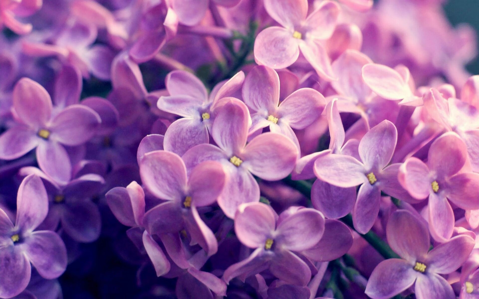 爱游戏体育平台-法甲：蒙彼利埃在主场大胜，保级战局迎来曙光，蒙彼利埃法甲夺冠阵容