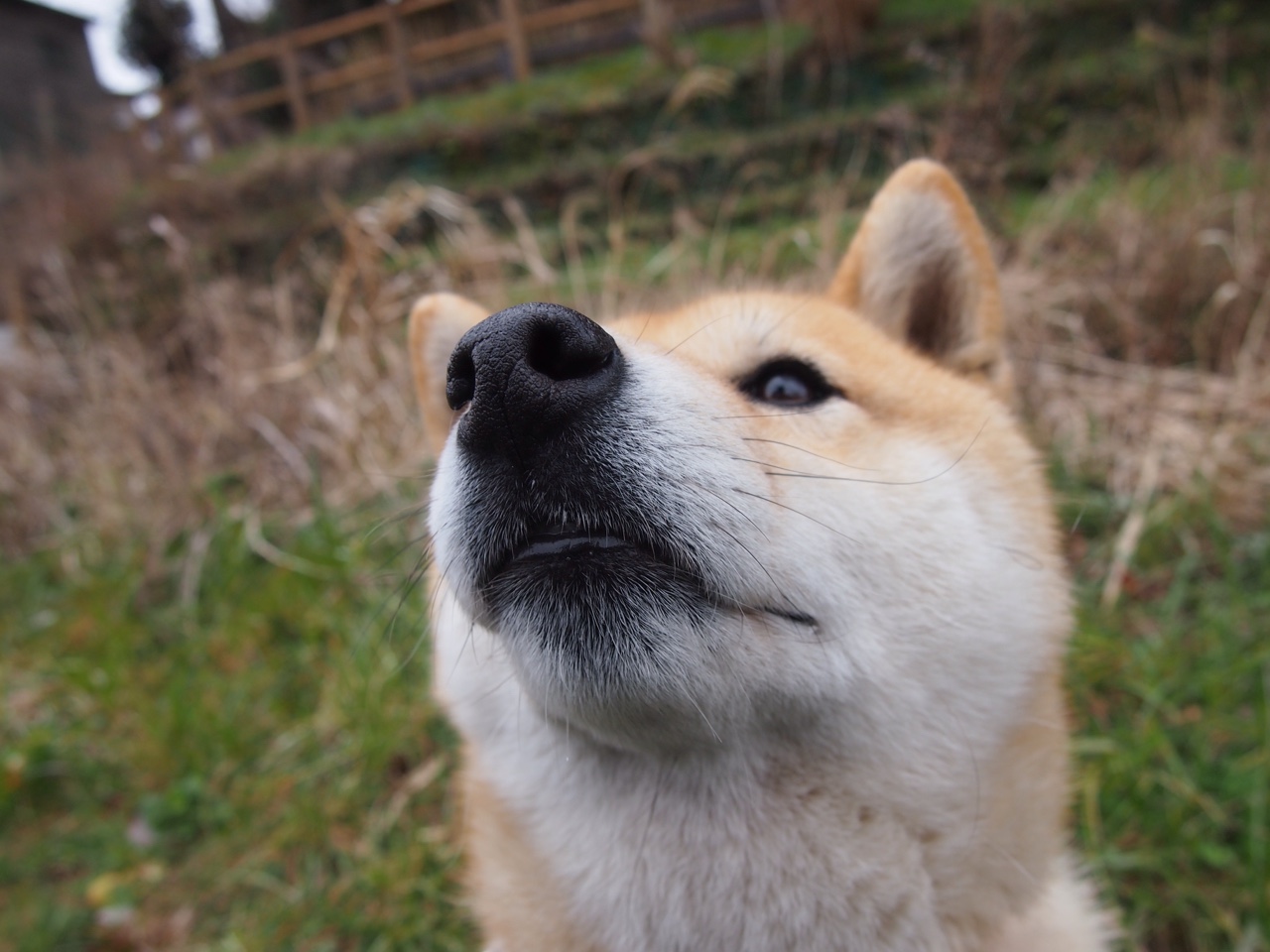 爱游戏中国官方网站平台-荷兰男足在预选赛中失去奥运资格，荷兰男足在预选赛中失去奥运资格了吗