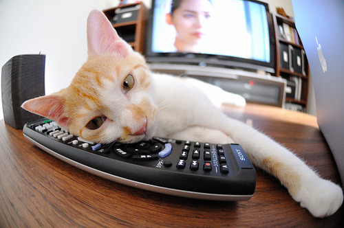 上海久事球员状态持续火热,上海久事男篮最新状况