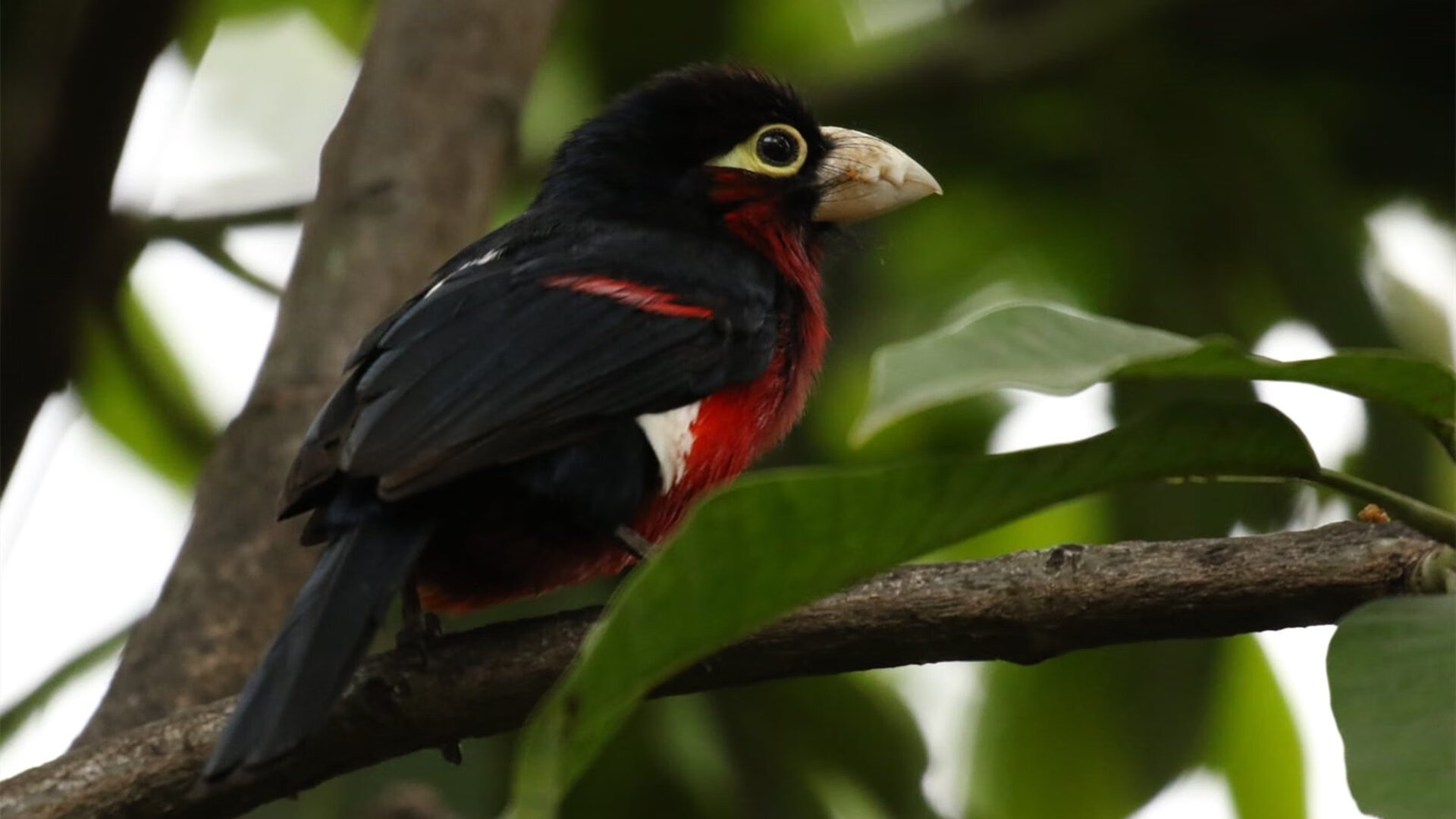 上海海港俱乐部管理层调整，上海海港足球俱乐部_4名新援亮相全力备战新赛季