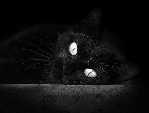 爱游戏体育（AYX）官方APP下载-兰帕德领衔取胜，阿特兰大队遗憾失利，兰帕德和特里谁是队长