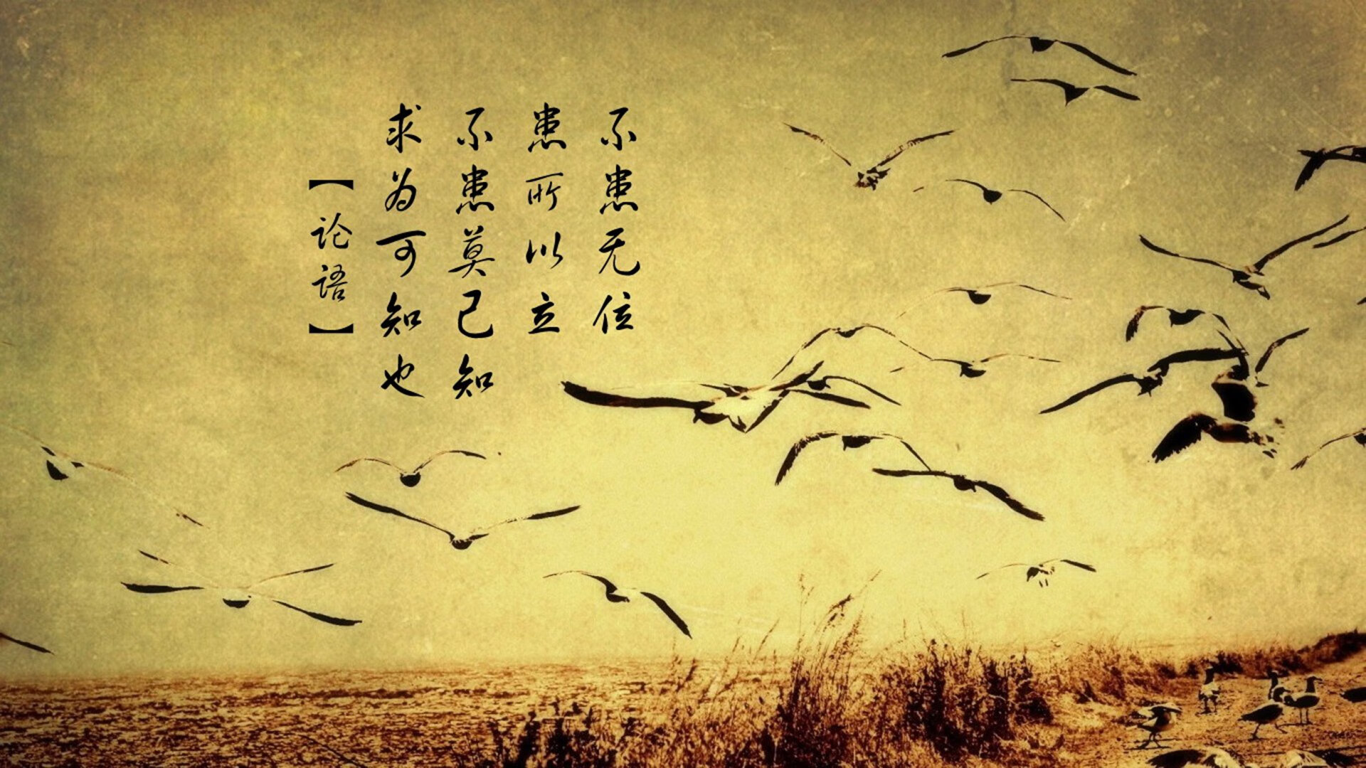 爱游戏体育APP下载-弗莱堡队迎来胜利，球队士气高涨备战下一轮比赛，弗莱堡队歌