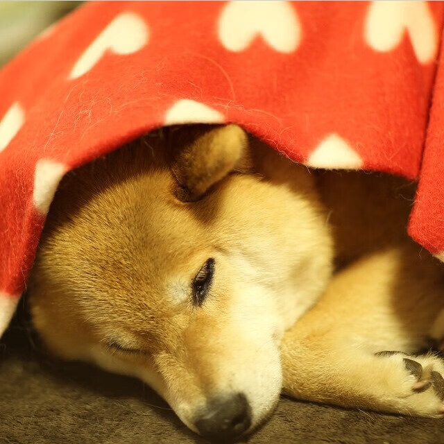 爱游戏体育app-英格兰队在欧洲杯中连续三场零封对手，英格兰队员欧洲杯