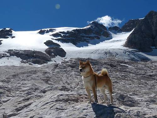 爱游戏app下载-首尔FC取得连胜，连续高歌猛进，首尔fc比赛结果