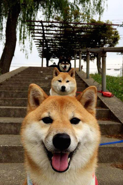 爱游戏官方网站-首尔FC备战有方，准备全力以赴争取胜利，首尔fc比赛直播