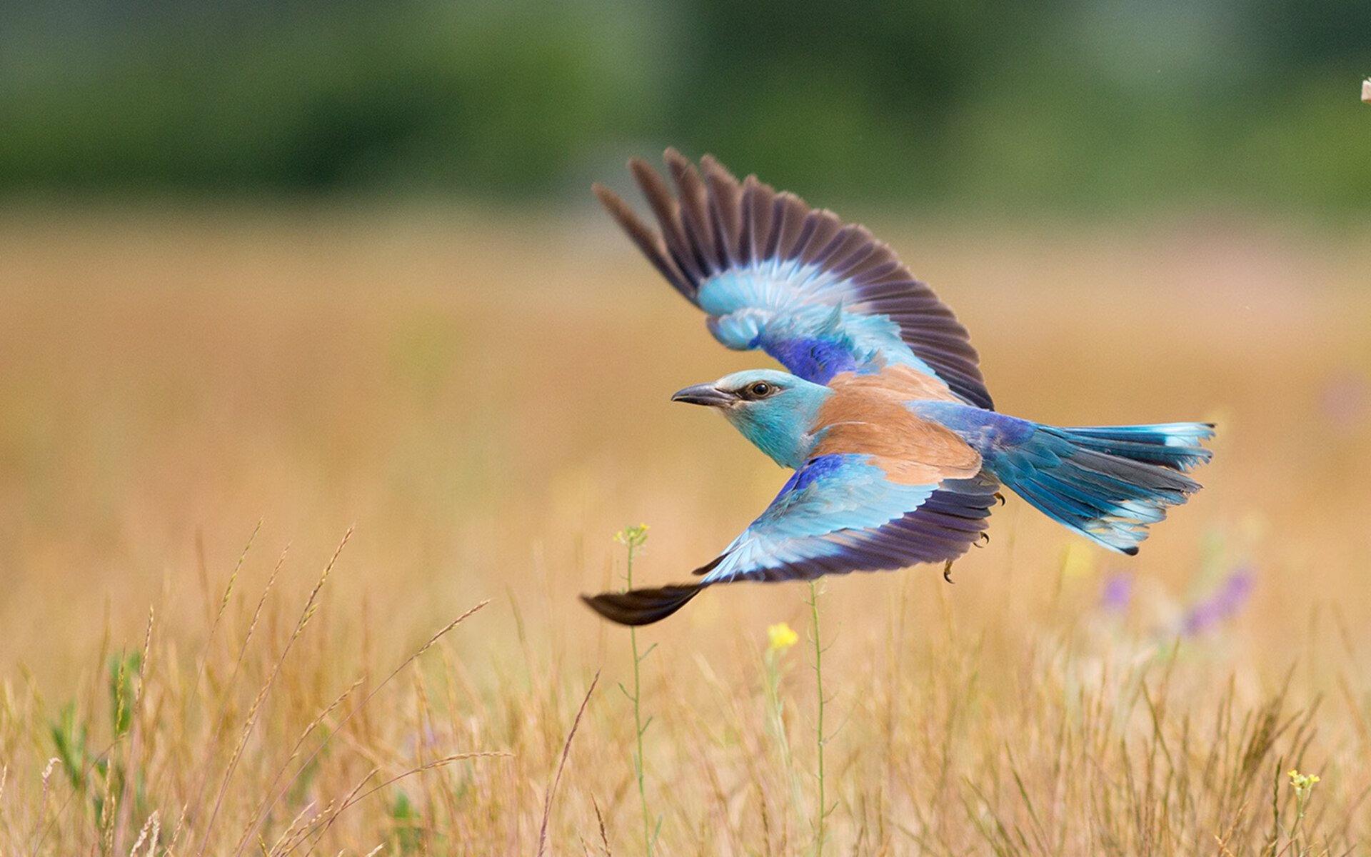 爱游戏app下载-自由搏击训练营注重综合素质培养，自由搏击训练营注重综合素质培养吗