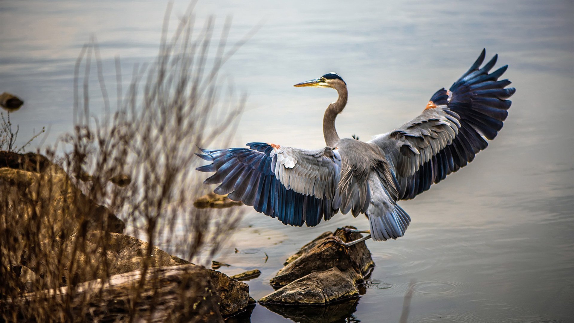 爱游戏体育平台-德甲精彩瞬间：攻守变化快，场面震撼！，德甲打法