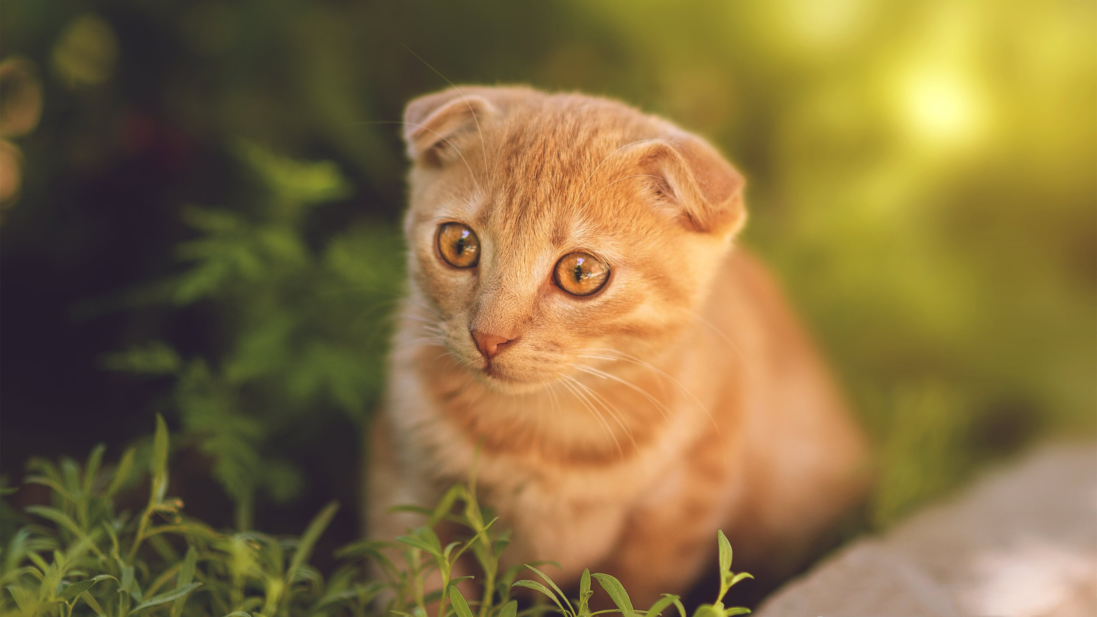 意甲精彩瞬间:快节奏,精彩纷呈!,意甲经典比赛