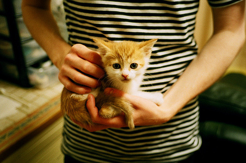 爱游戏平台-欧洲杯精彩绝伦：变化多端引爆现场！，欧洲杯z